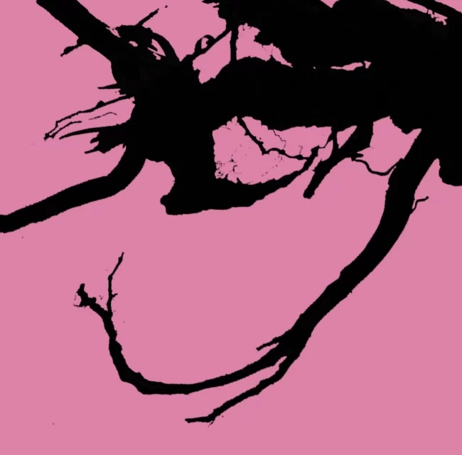 naturaise_portfolio_marsmallow