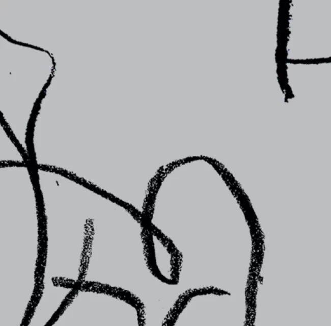 naturaise_portfolio_others