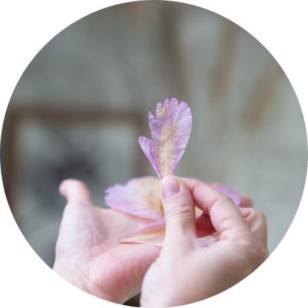 ourprocess-1-naturaise